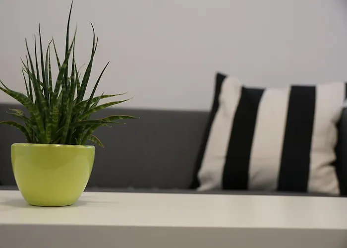 Seven Apartament Ringsheim